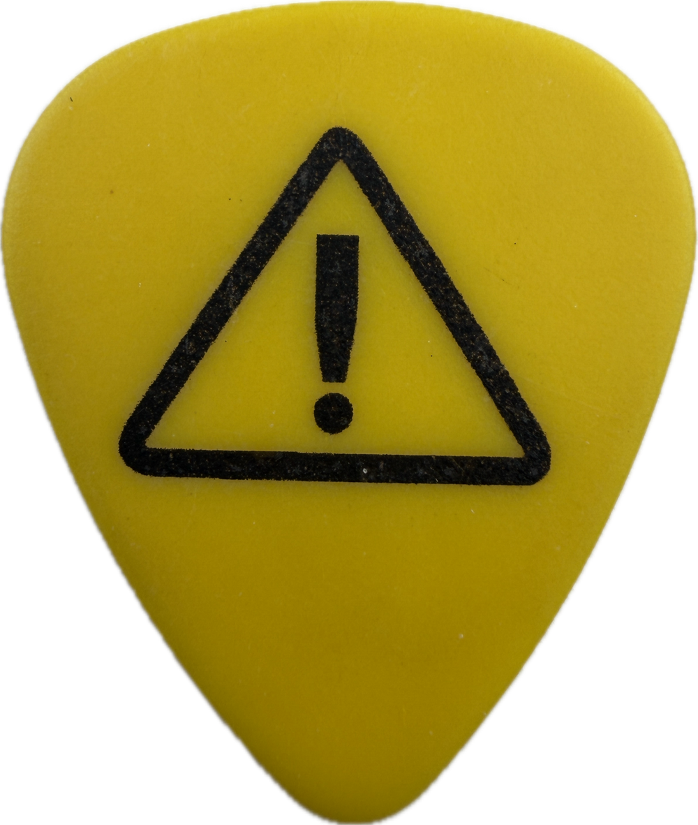 Billie Joe Armstrong Green Day 2001 Warning Tour guitar pick front
