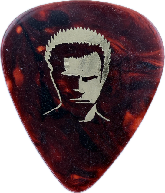 BILLY IDOL 2005 DEVIL’S PLAYGROUND TOUR D-LOGO GUITAR PICK