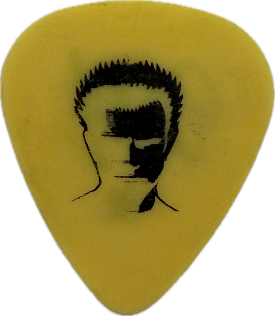 BILLY IDOL 2005 DEVIL’S PLAYGROUND TOUR GUITAR PICK
