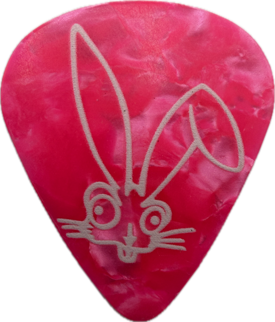 BLINK-182 2025 MISSIONARY IMPOSSIBLE WORLD TOUR VIP LOSER KIDS RABBIT DRINK TOKEN GUITAR PICK