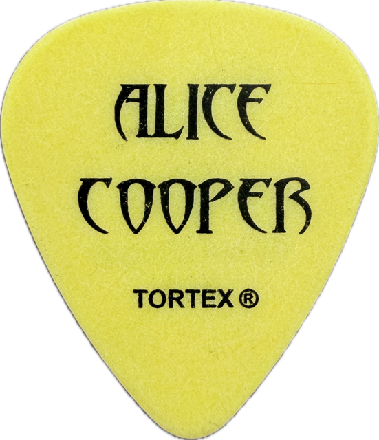 DAMON JOHNSON ALICE COOPER 2006 ALONG CAME A SPIDER TOUR GUITAR PICK