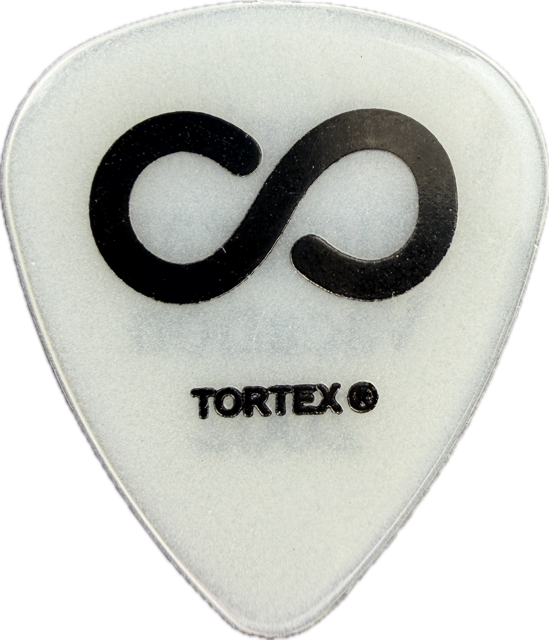 DAN ESTRIN HOOBASTANK 2002 DAN’S EUROPEAN VACATION TOUR GUITAR PICK