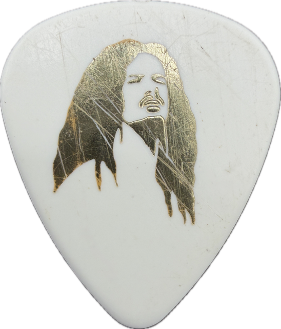DIMEBAG DARRELL DAMAGEPLAN 2004 TOUR GUITAR PICK