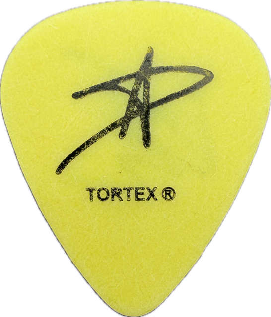 EVAN TAUBENFELD AVRIL LAVIGNE 2003 LETS GO TOUR GUITAR PICK