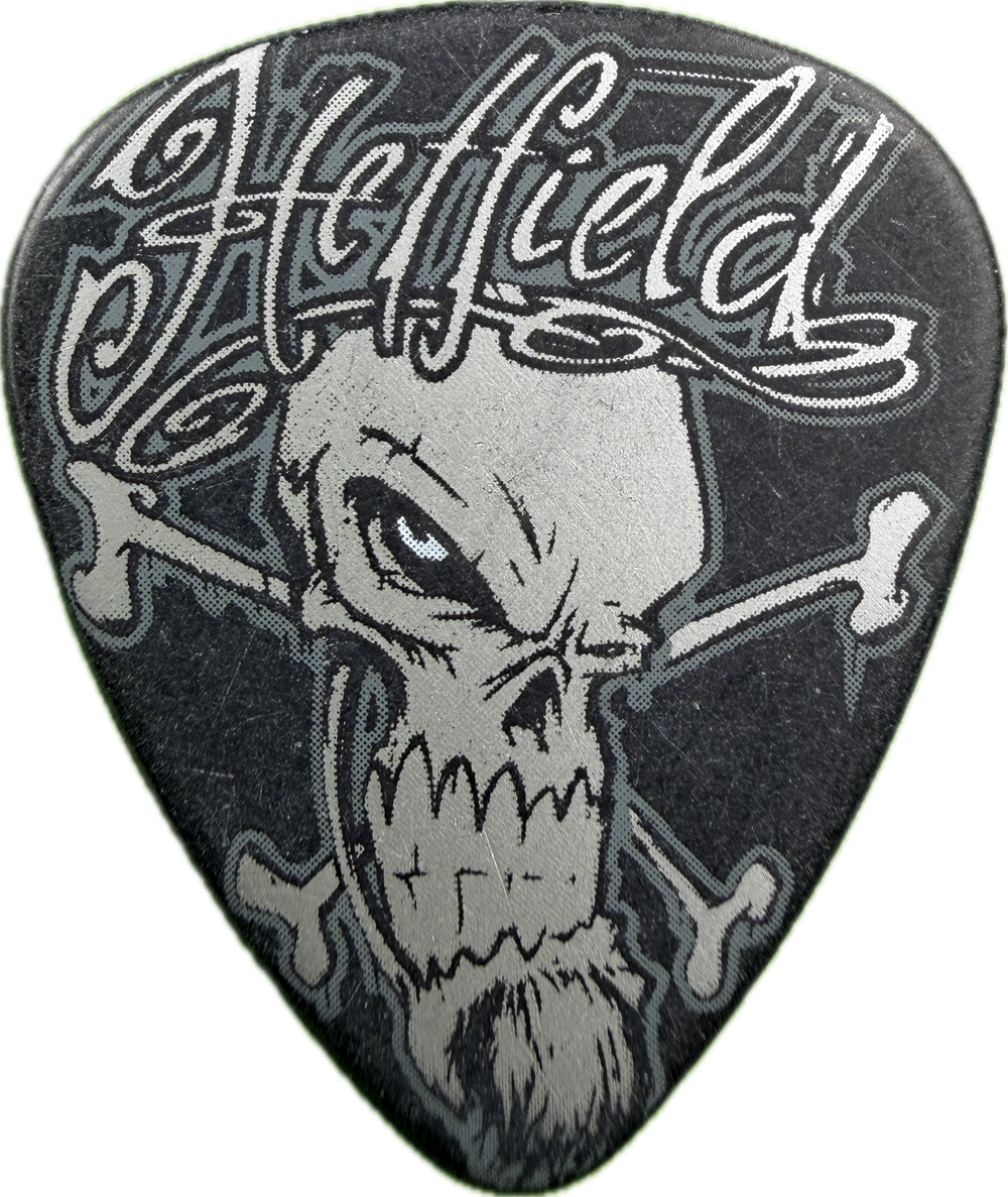 James Hetfield Metallica 2011 30Th Anniversary Tour Skull guitar pick front