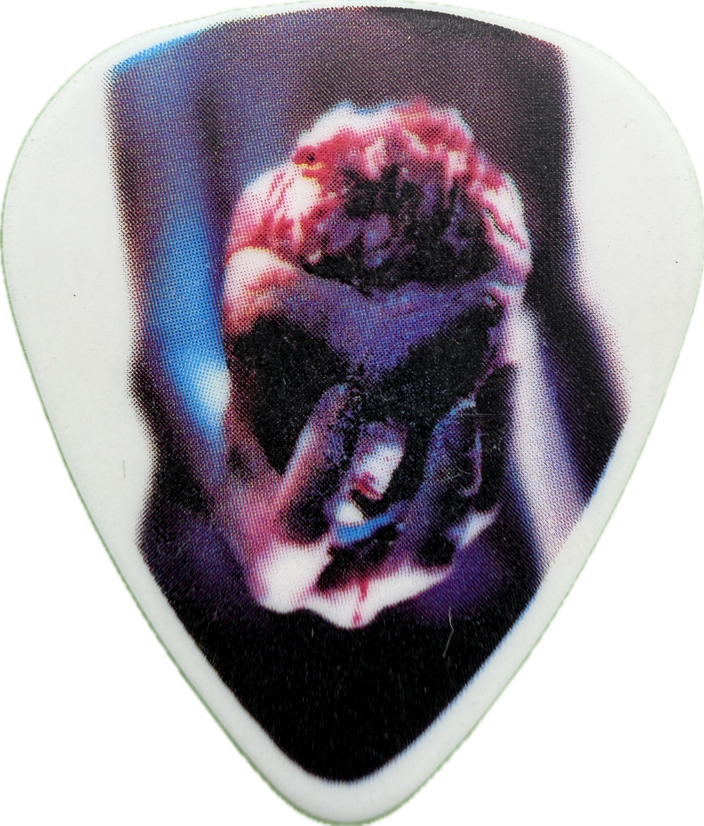 Jerry Cantrell Alice In Chains 2010 Black Gives Way To Blue Tour Photo White Guitar Pick front