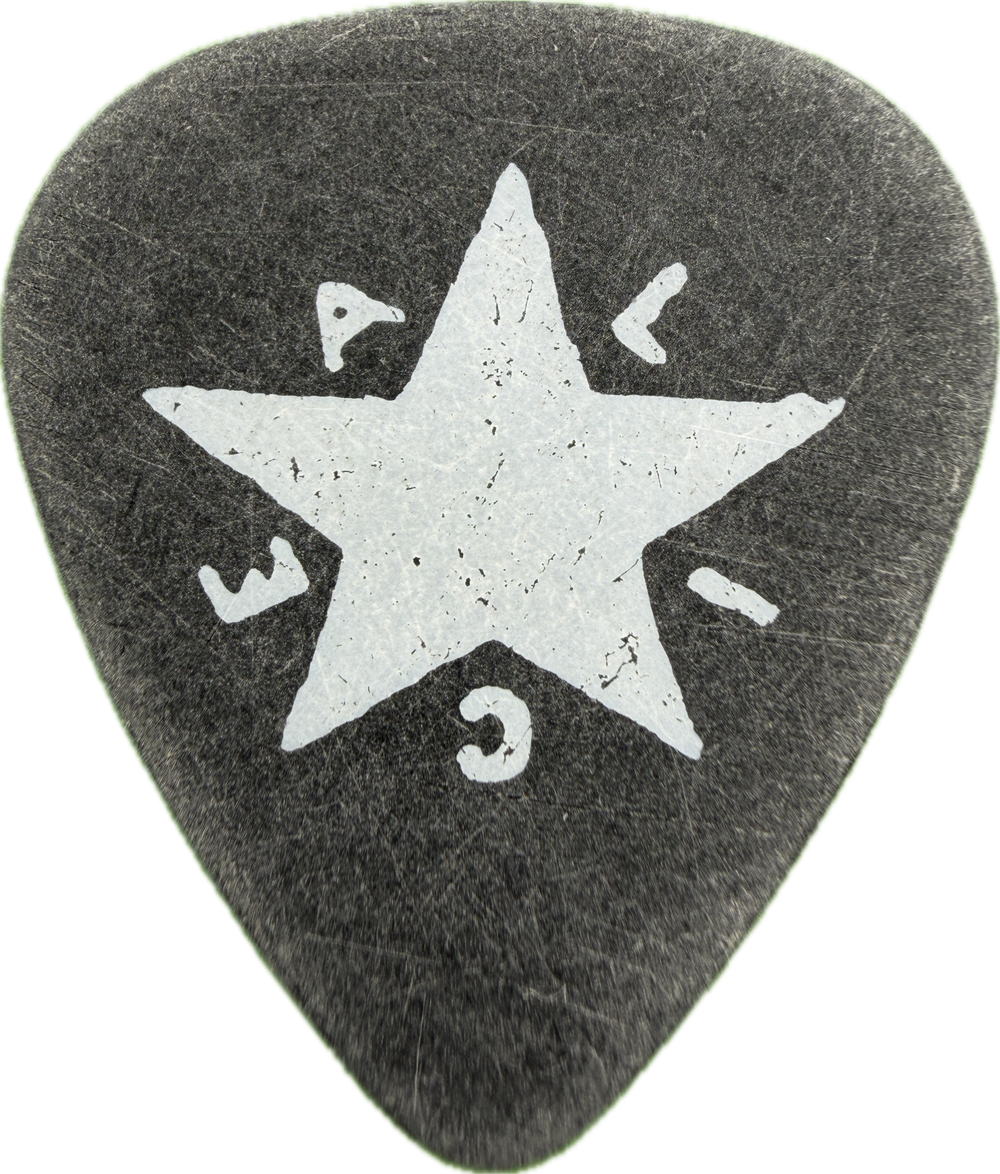 Jerry Cantrell Alice In Chains 2010 Black Gives Way To Blue Tour Star Black Guitar Pick front