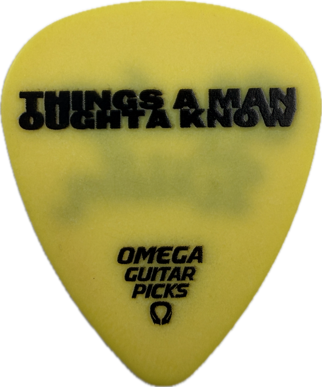 Lainey Wilson 2025 Whirlwind Things A Man Oughta Know Guitar Pick front