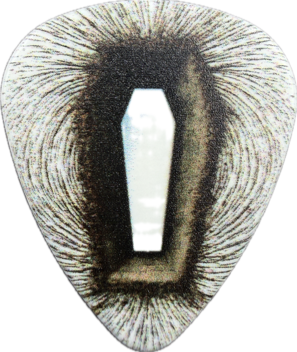Metallica DEATH MAGNETIC guitar pick front, coffin artwork