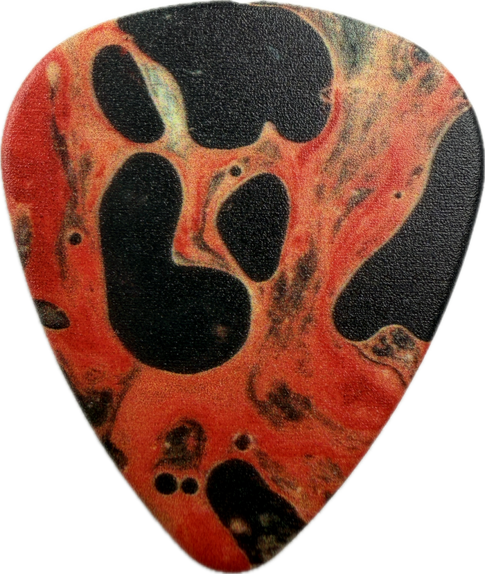 Metallica LOAD guitar pick front, Load album artwork
