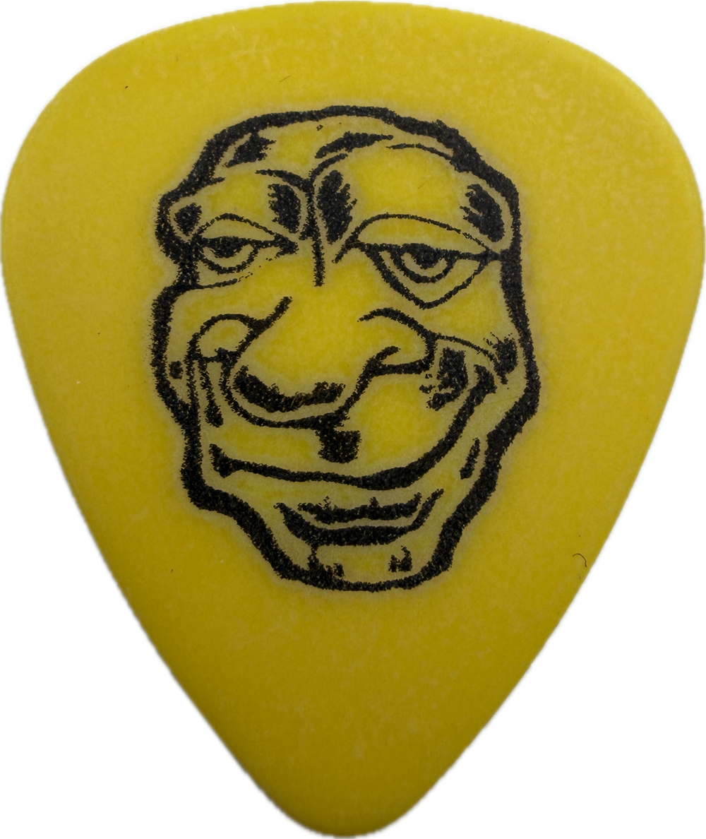 Mike Dirnt Green Day 1997 Nimrod Tour Face guitar pick front