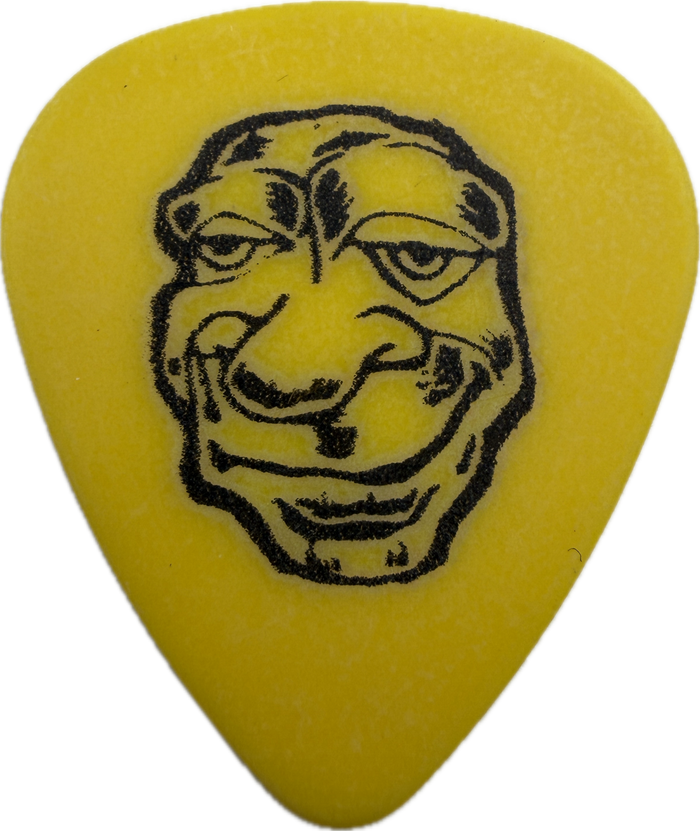 Mike Dirnt Green Day 1997 Nimrod Tour Face guitar pick front