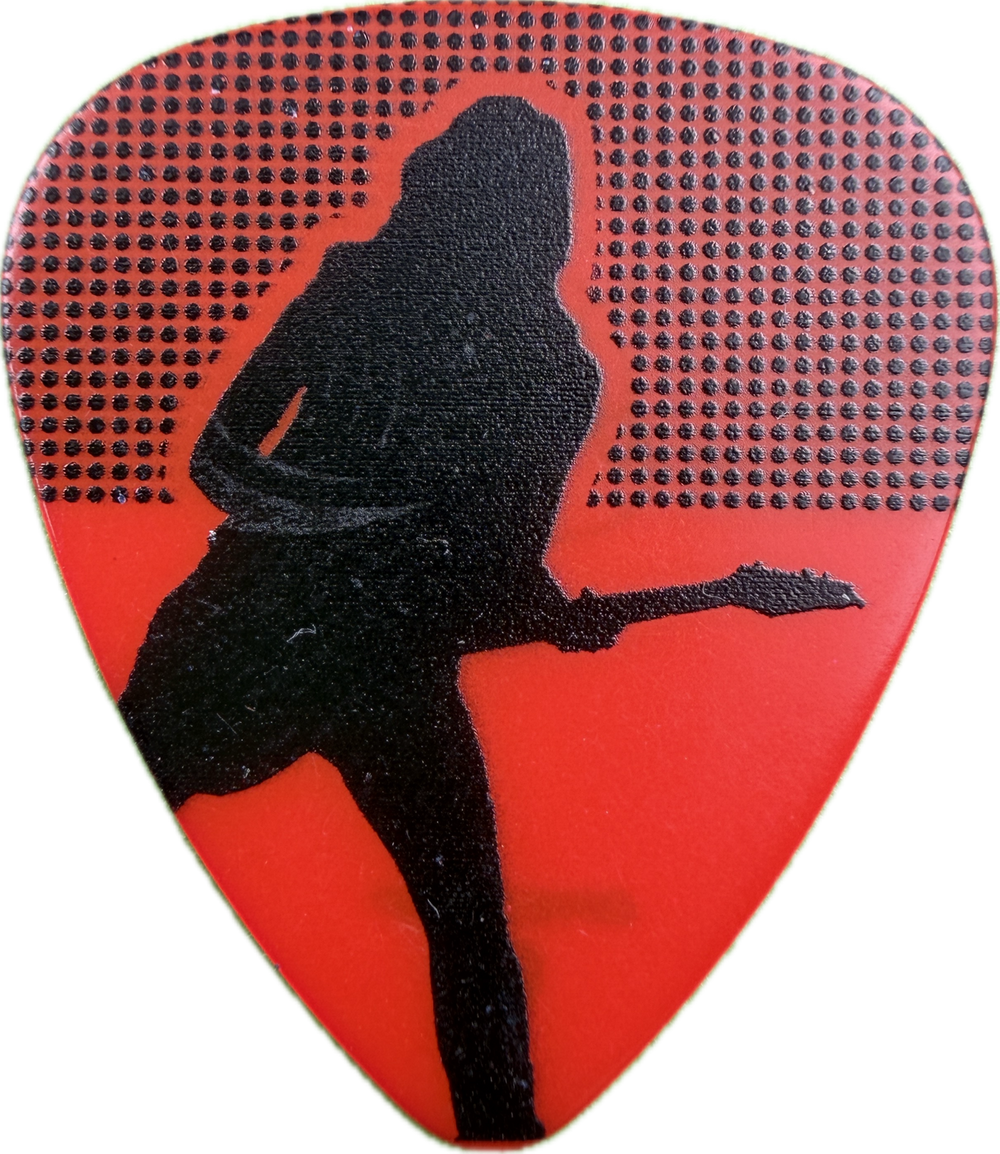 NITA STRAUSS ALICE COOPER 2025 SILHOUETTE SIGNATURE GUITAR PICK FRONT