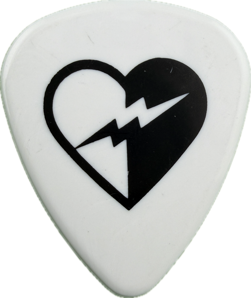 STEVIE D BUCKCHERRY 2012 TOUR GUITAR PICK FRONT