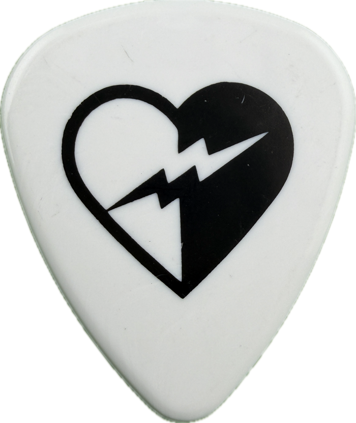 STEVIE D BUCKCHERRY 2012 TOUR GUITAR PICK FRONT