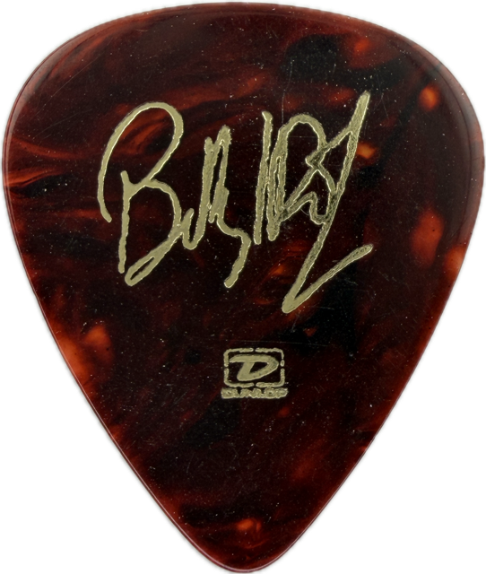 BILLY IDOL 2005 DEVIL’S PLAYGROUND TOUR D-LOGO GUITAR PICK reverse