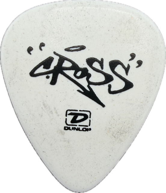 CRAIG ROSS LENNY KRAVITZ 2008 LOVE REVOLUTION TOUR GUITAR PICK reverse