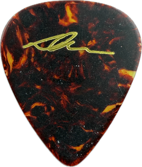 DAVE NAVARRO JANES ADDICTION 2001 JUBILEE TOUR GUITAR PICK reverse