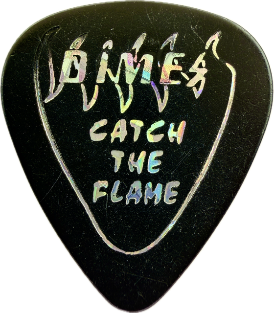 DIMEBAG DARRELL PANTERA 1996 THE GREAT SOUTHERN TRENDKILL TOUR GUITAR PICK reverse