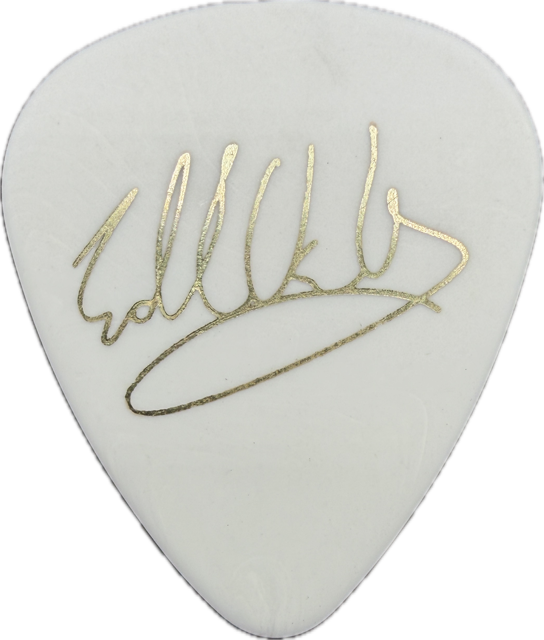 EDDIE VAN HALEN EVH 2012 A DIFFERENT KIND OF TRUTH TOUR GUITAR PICK reverse