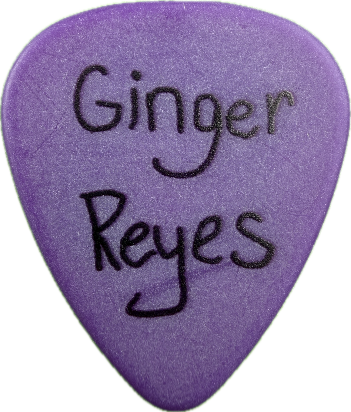ginger pooley the smashing pumpkins portrait guitar pick guitar pick reverse pickrebel photo reverse
