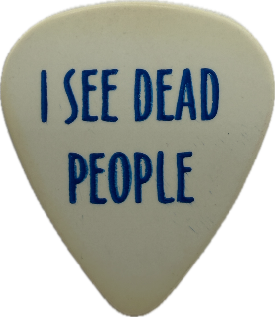 GRATEFUL DEAD 2004 WAVE THAT FLAG TOUR I SEE DEAD PEOPLE GUITAR PICK reverse