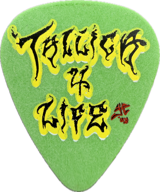 JAMES HETFIELD METALLICA 2004 ST. ANGER TOUR GUITAR PICK reverse