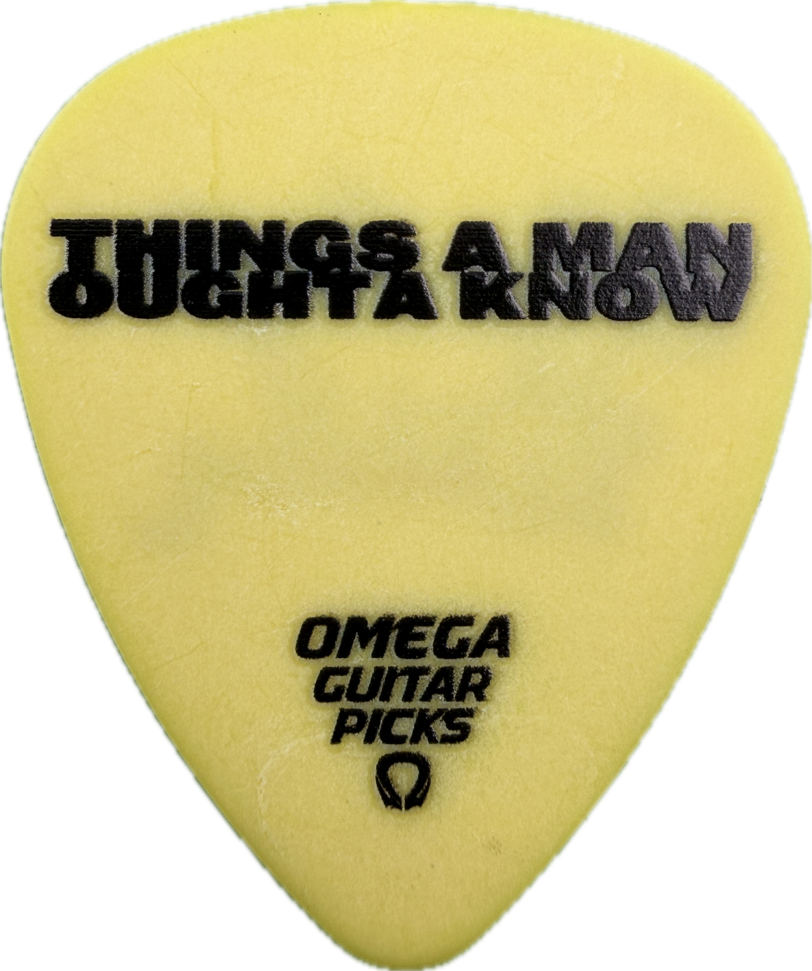 lainey wilson whirlwind 2025 things a man oughta know guitar pick guitar pick reverse pickrebel photo reverse