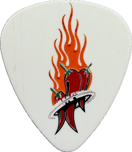 MICHAEL ANTHONY VAN HALEN 2004 REUNION TOUR GUITAR PICK reverse
