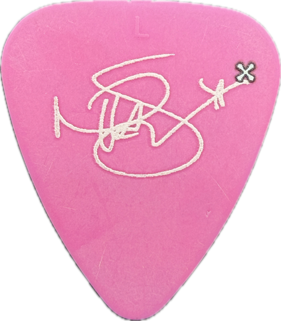 NITA STRAUSS HURRICANE NITA PINK 2015 TOUR GUITAR PICK reverse