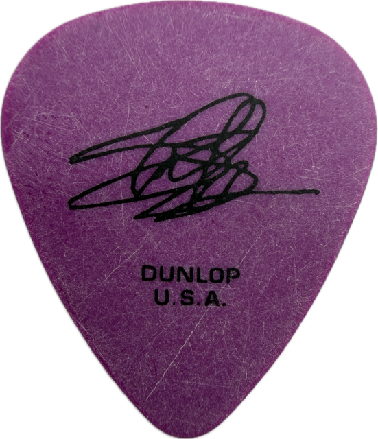 SLASH GUNS N' ROSES 2010 SOLO TOUR GUITAR PICK reverse